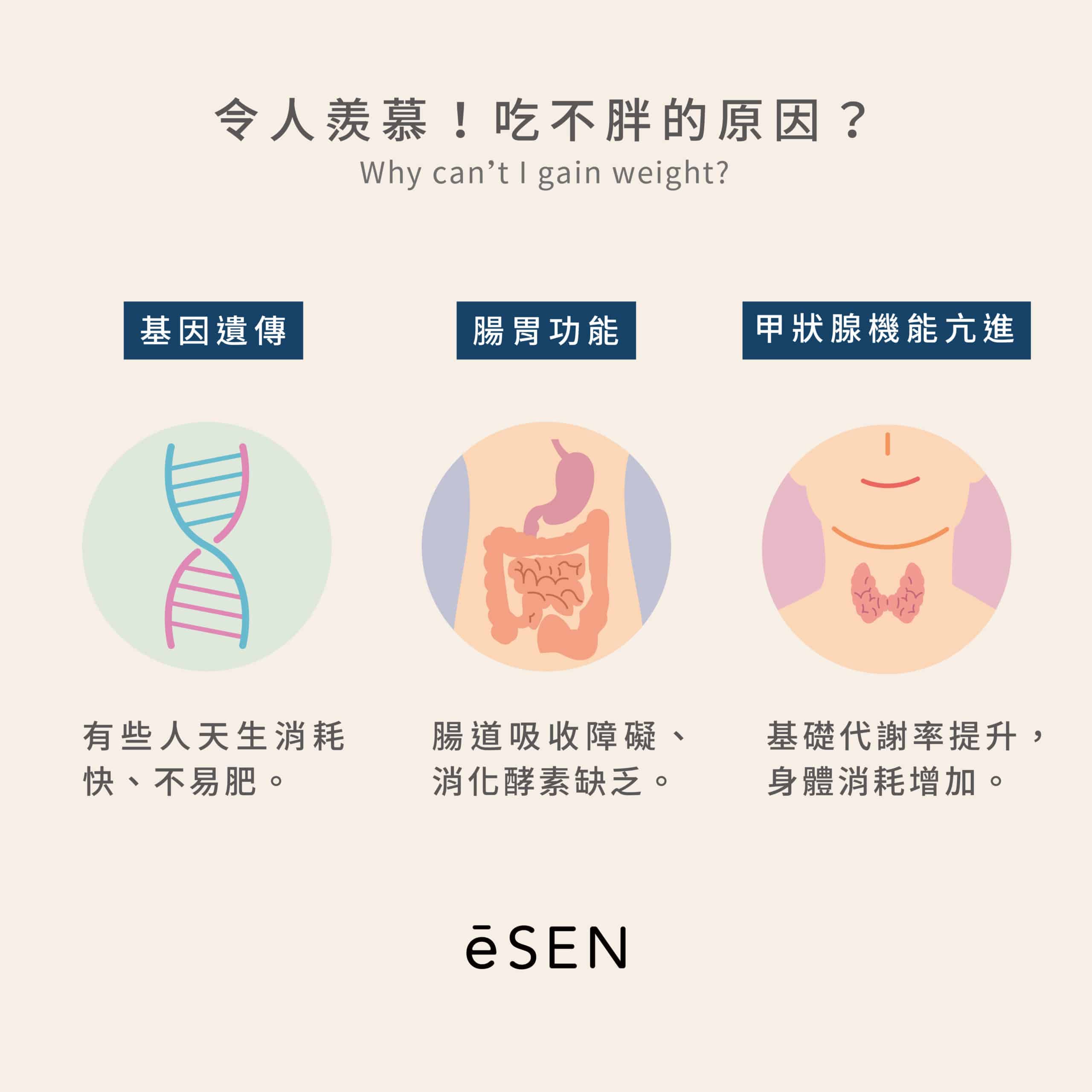吃都吃不胖？營養師教你如何正確增重！_02