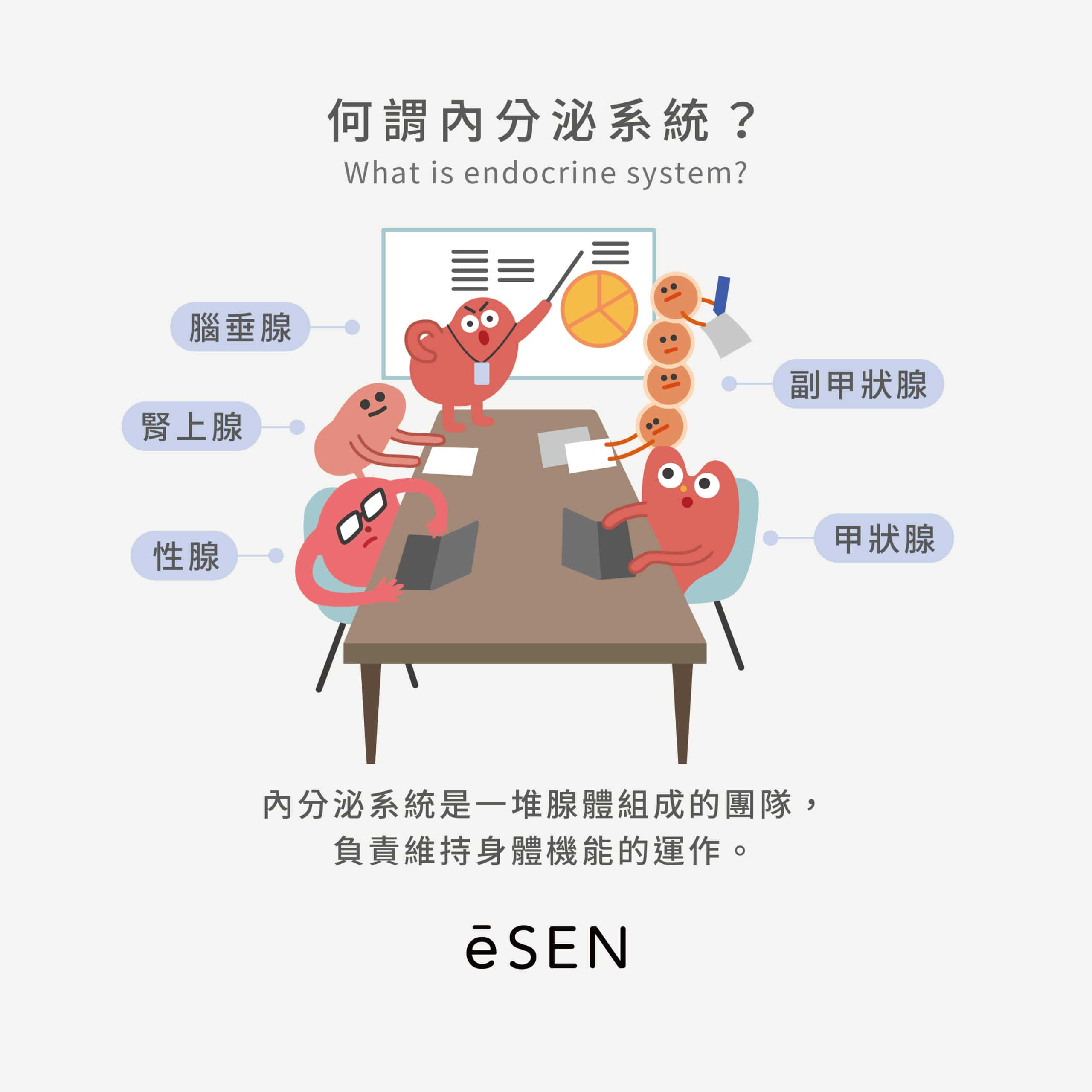 爆痘=內分泌失調?_02