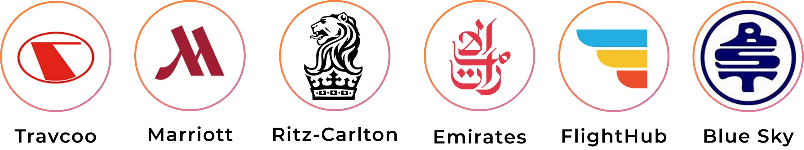 Logo Icon