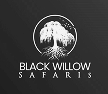 Logo Icon
