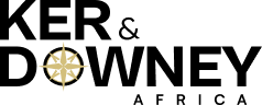Logo Icon