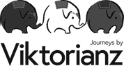 Logo Icon