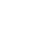 Facebook White Icon