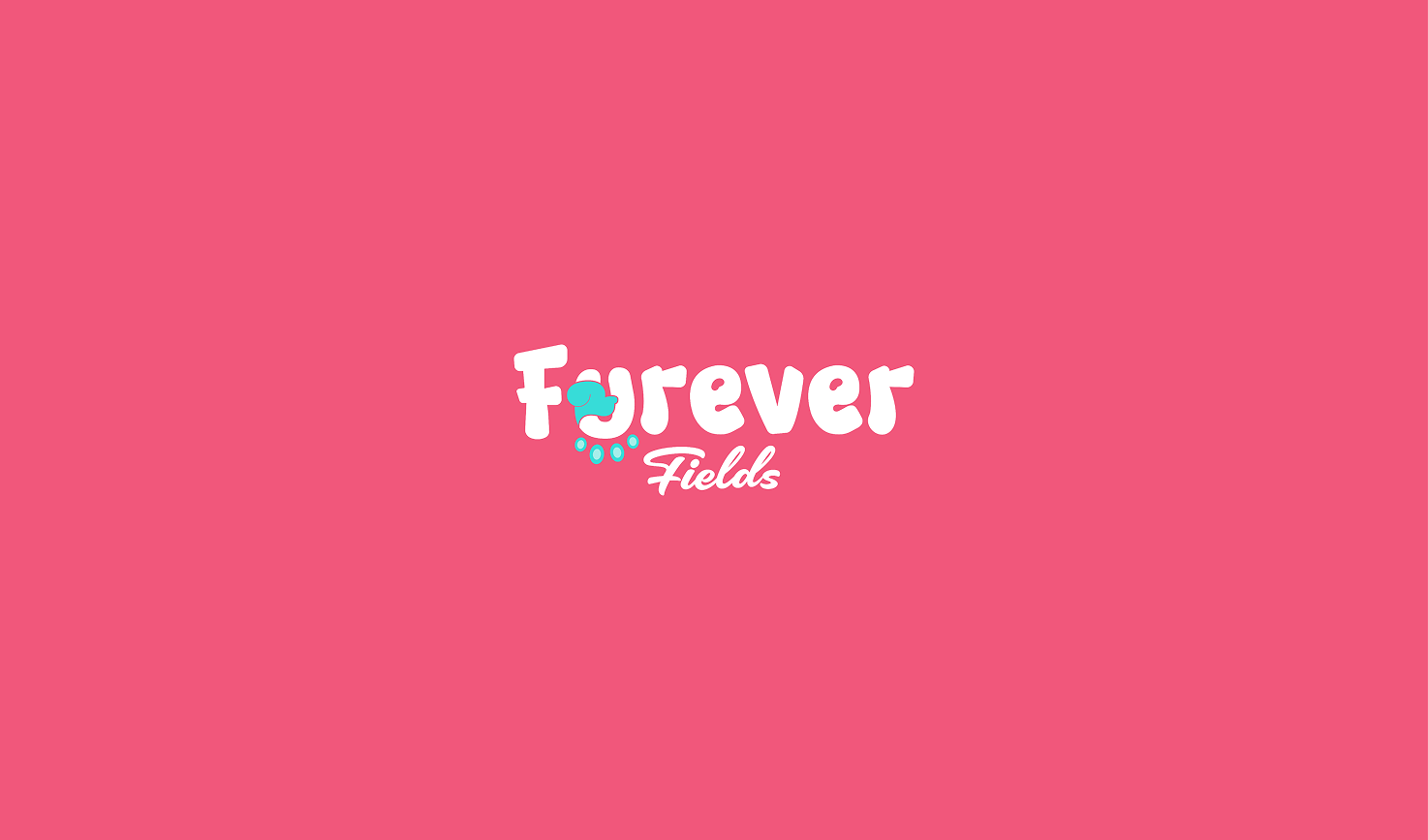 Gallery Single Image