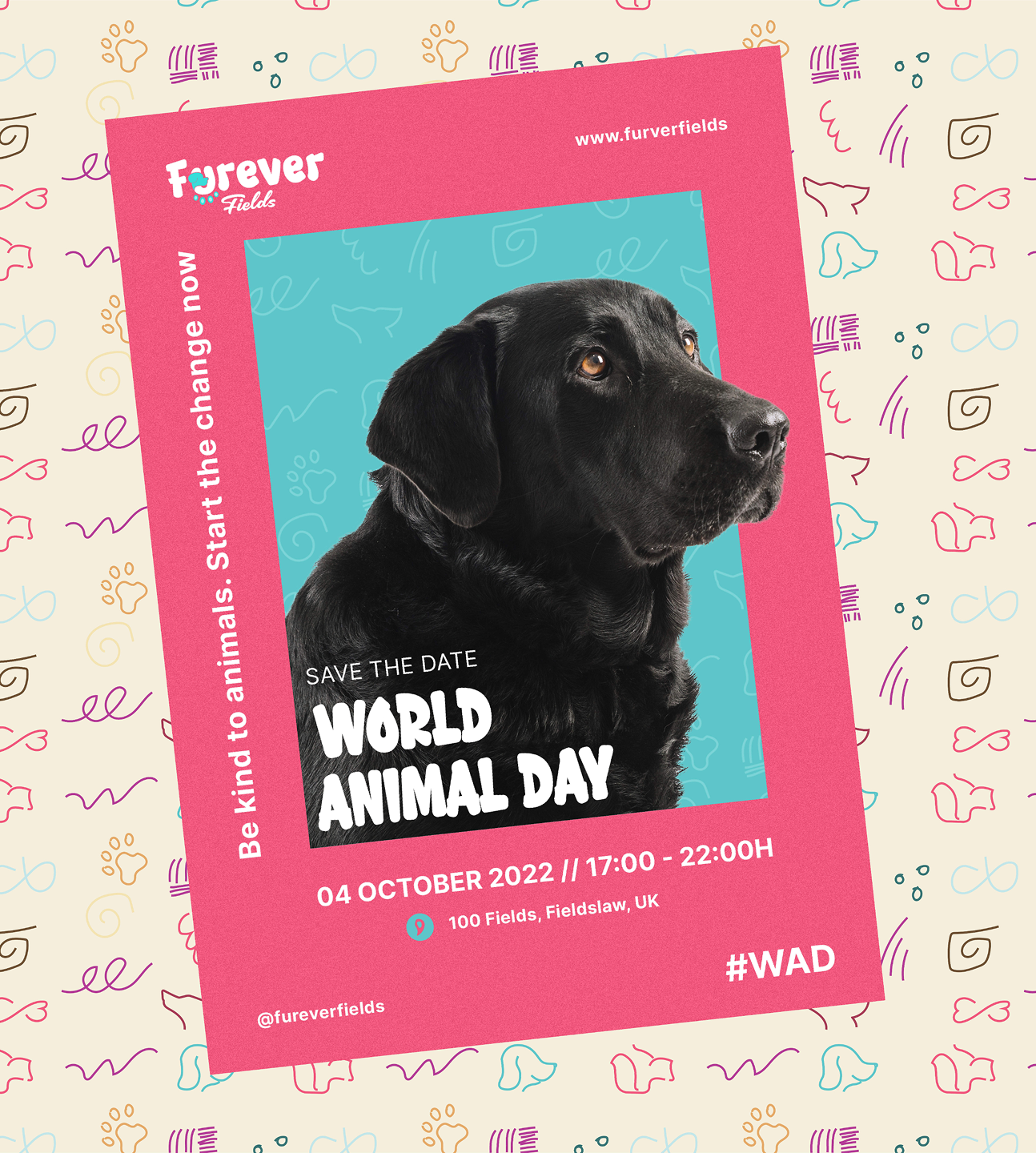 Gallery Single Image