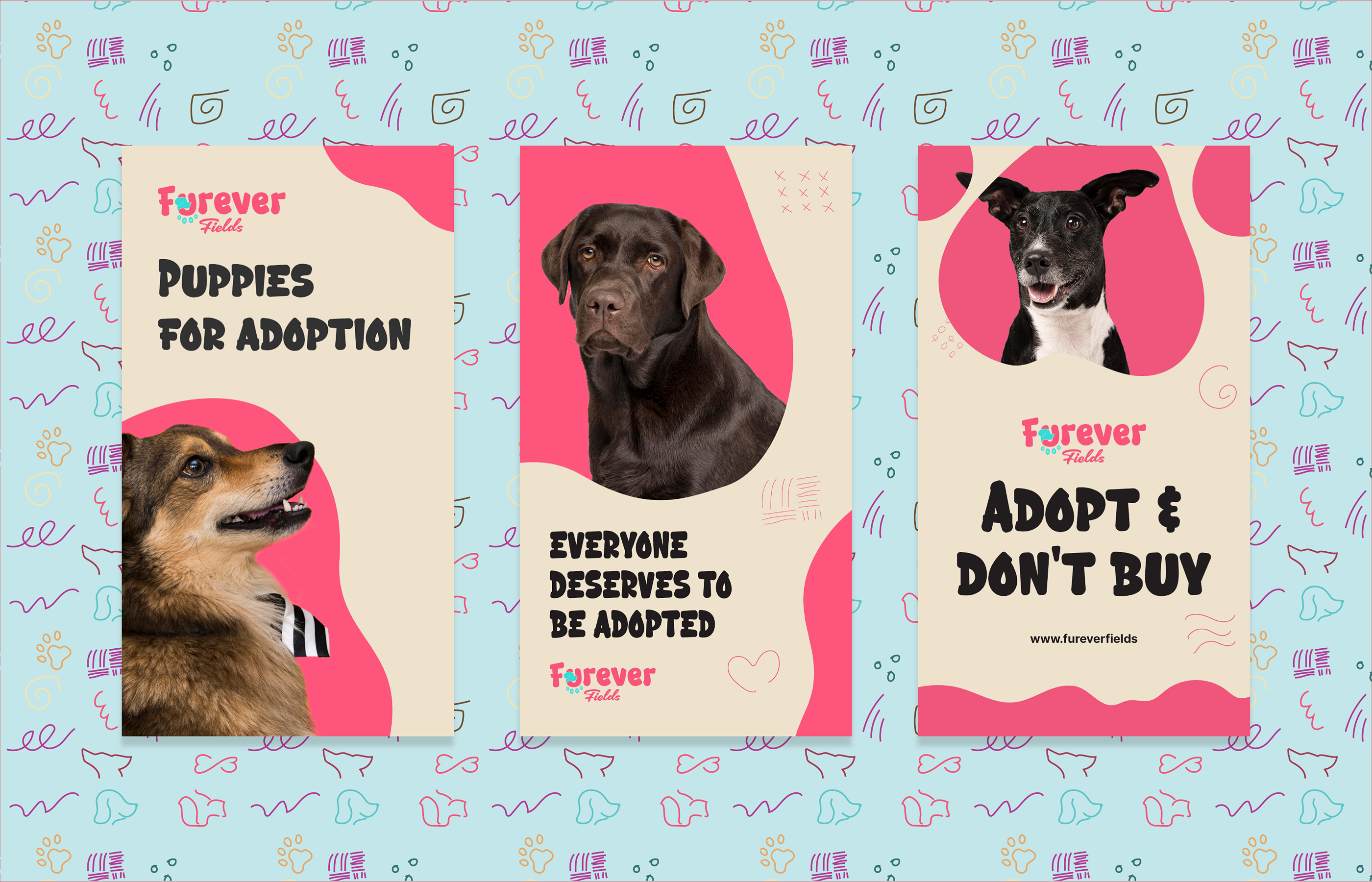 Gallery Single Image