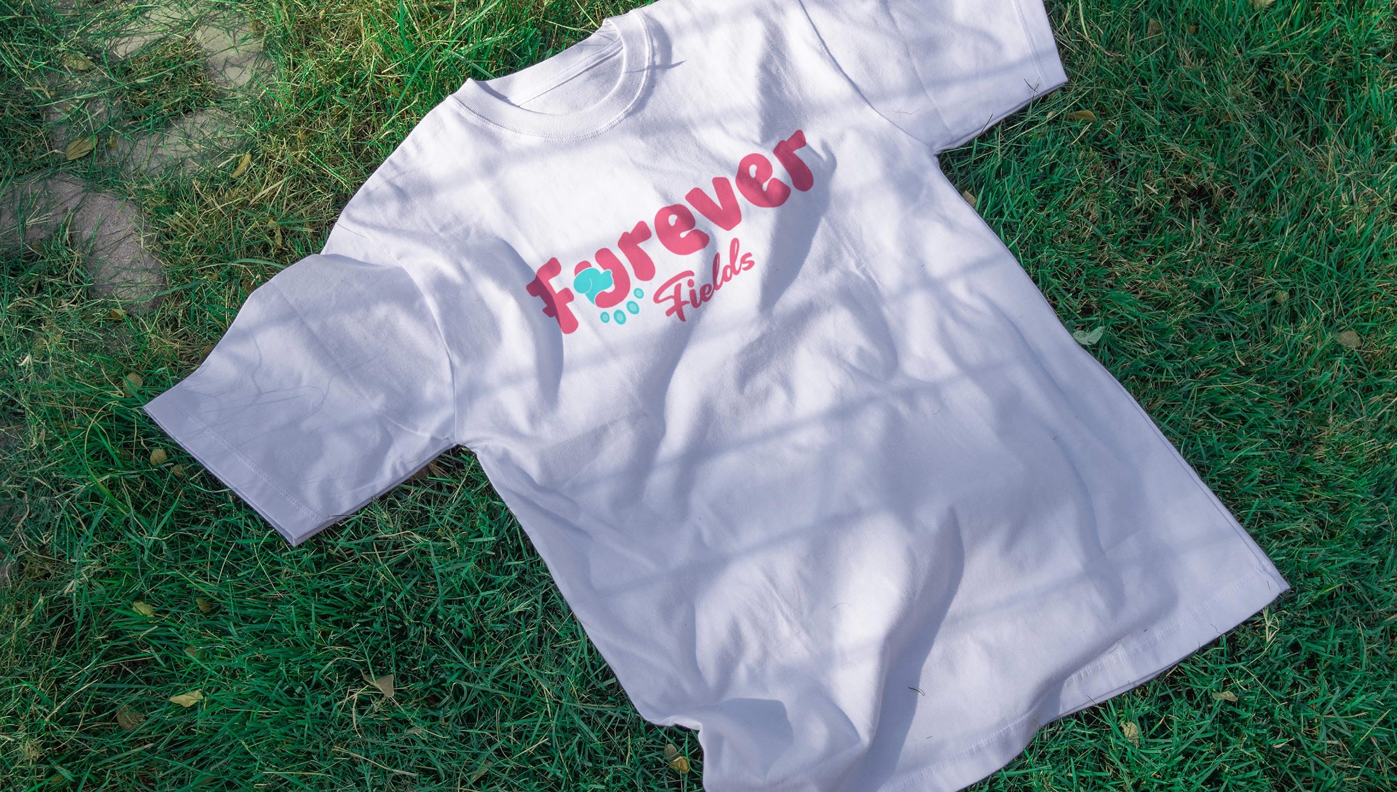 Gallery Single Image