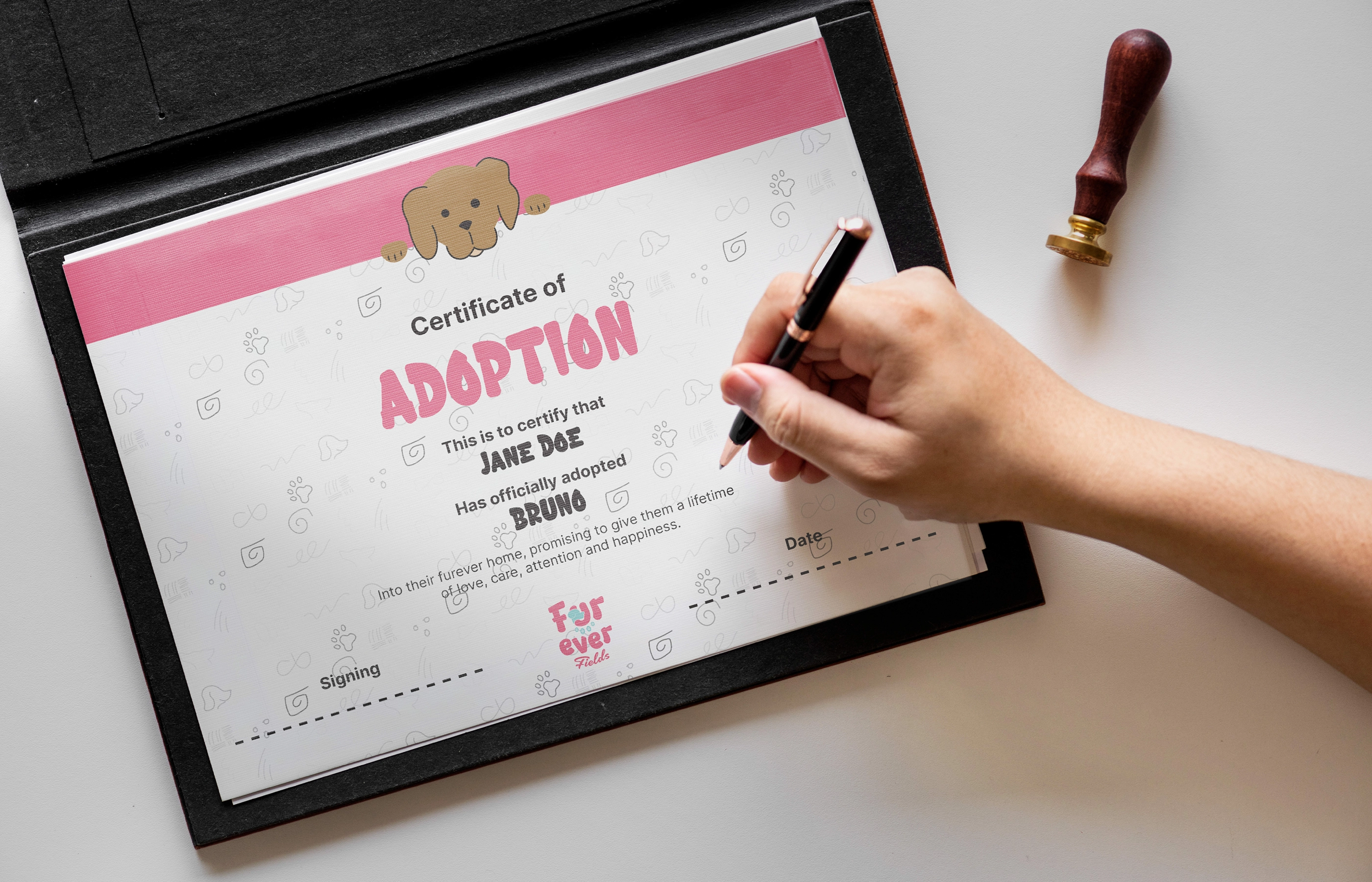 Gallery Single Image