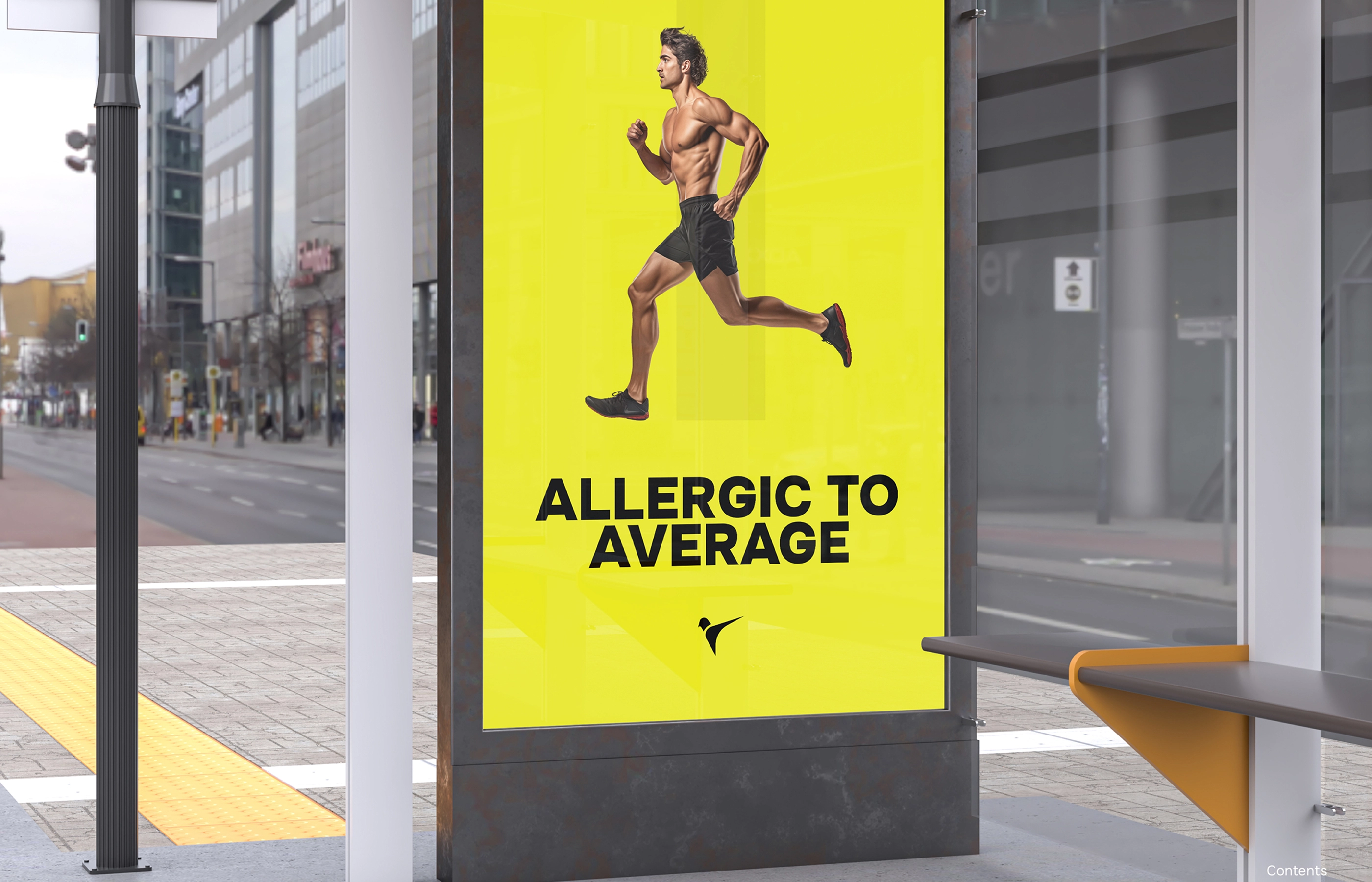 Gallery Single Image