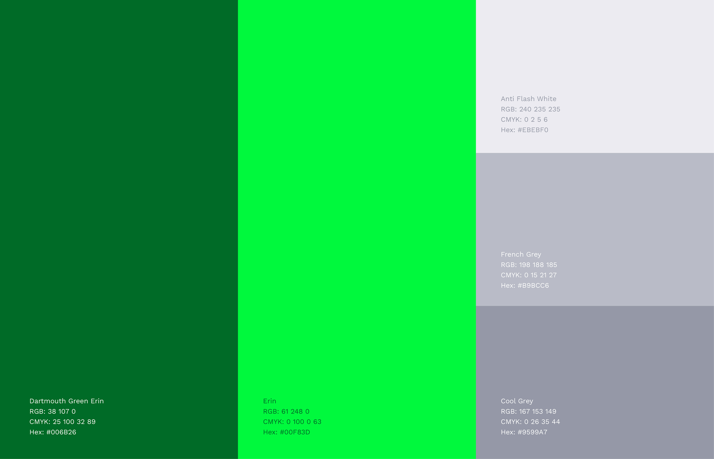 Gallery Single Image