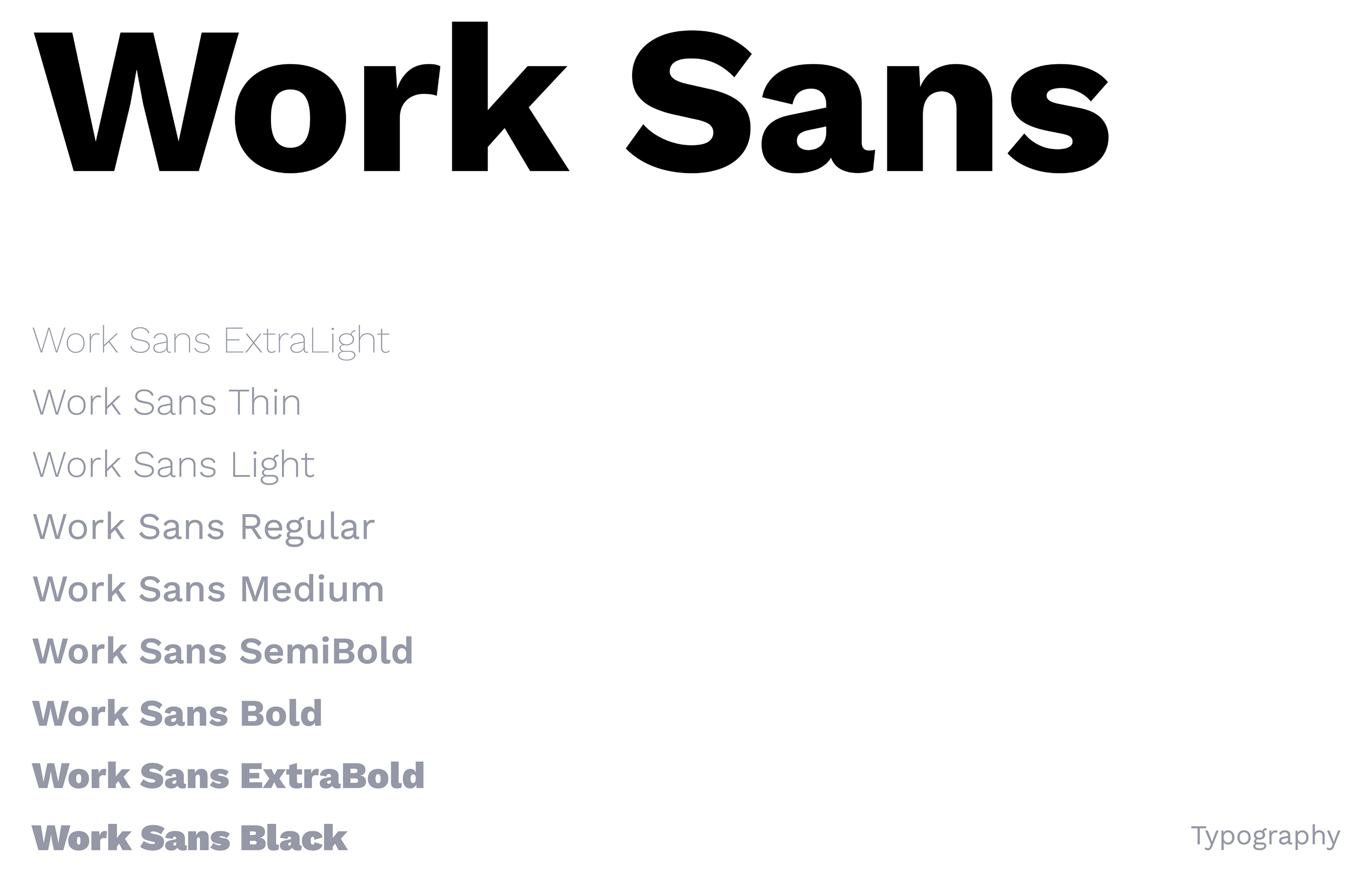 Gallery Single Image