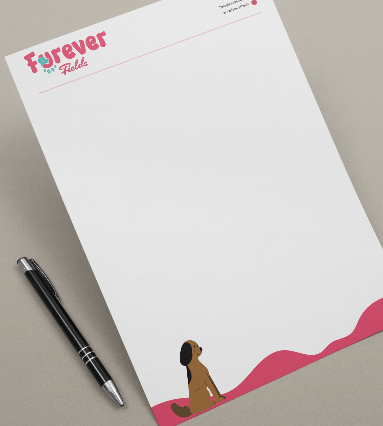 Gallery Single Image