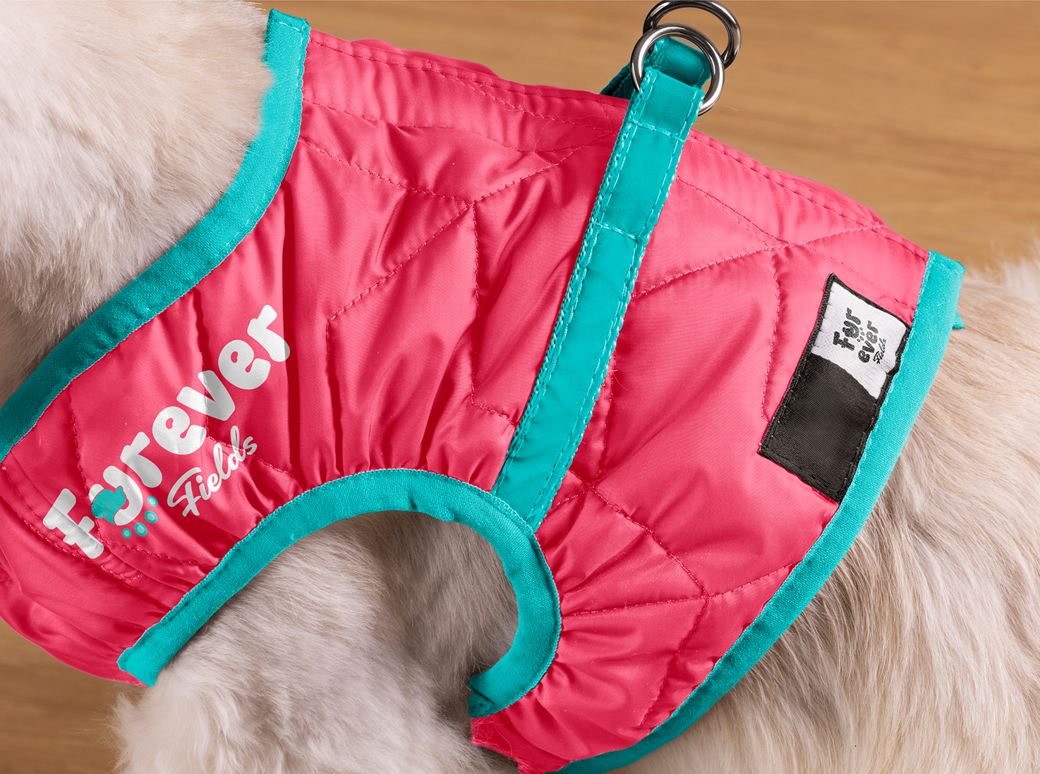 Gallery Single Image