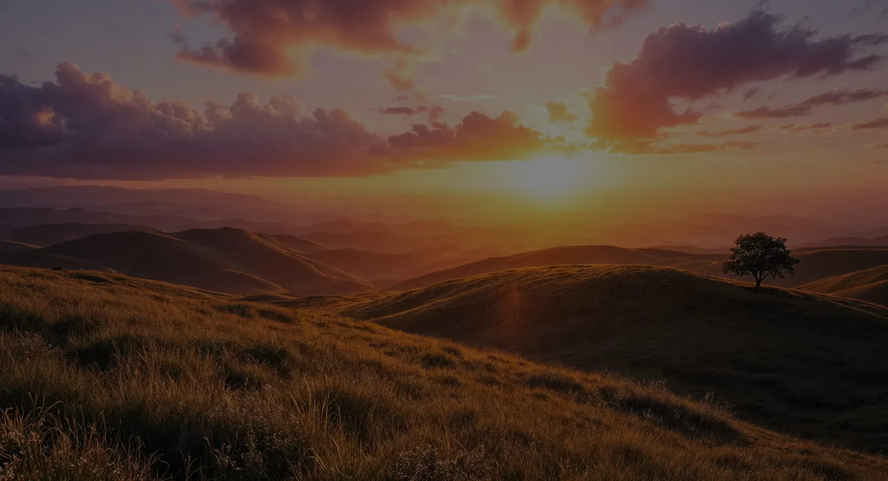 Sunset over rolling hills with grassy foreground and a single tree on the right hill.
