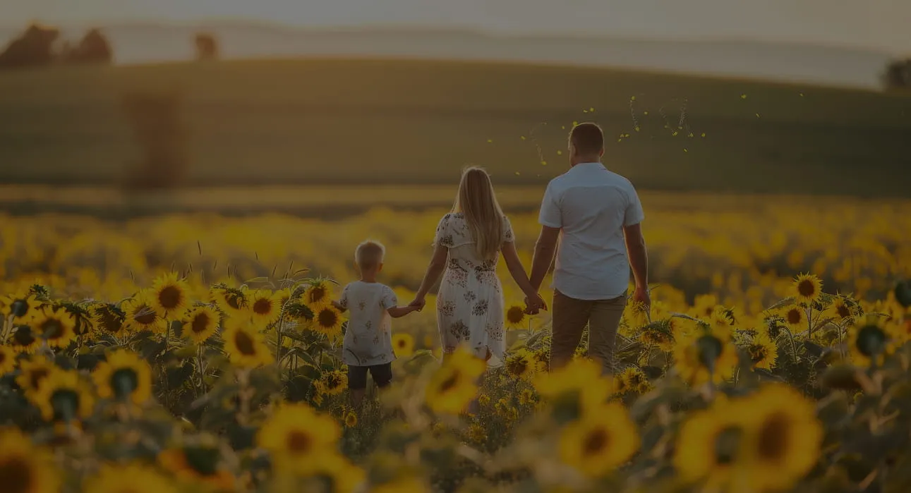 Family of three holding hands and walking through a field of sunflowers at sunset.