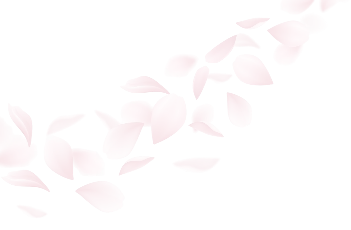 Soft pink flower petals scattered diagonally on a transparent background.