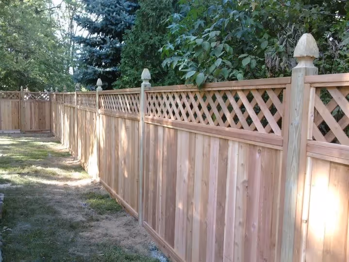 Wooden fence with lattice top panels along a grassy yard bordered by trees and shrubs.