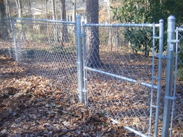 Metal chain-link fence with a gate in a wooded yard covered with dry leaves.