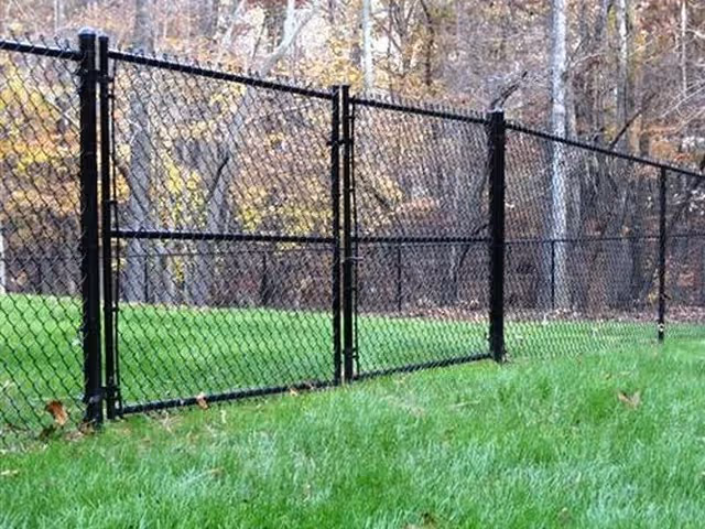 Black chain-link fence alongside a green grassy area with trees in the background.