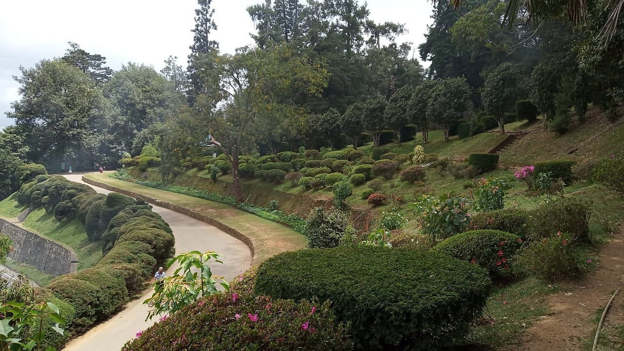 A view of the Hakgala Botanical Garden flowers and greenery from the distance