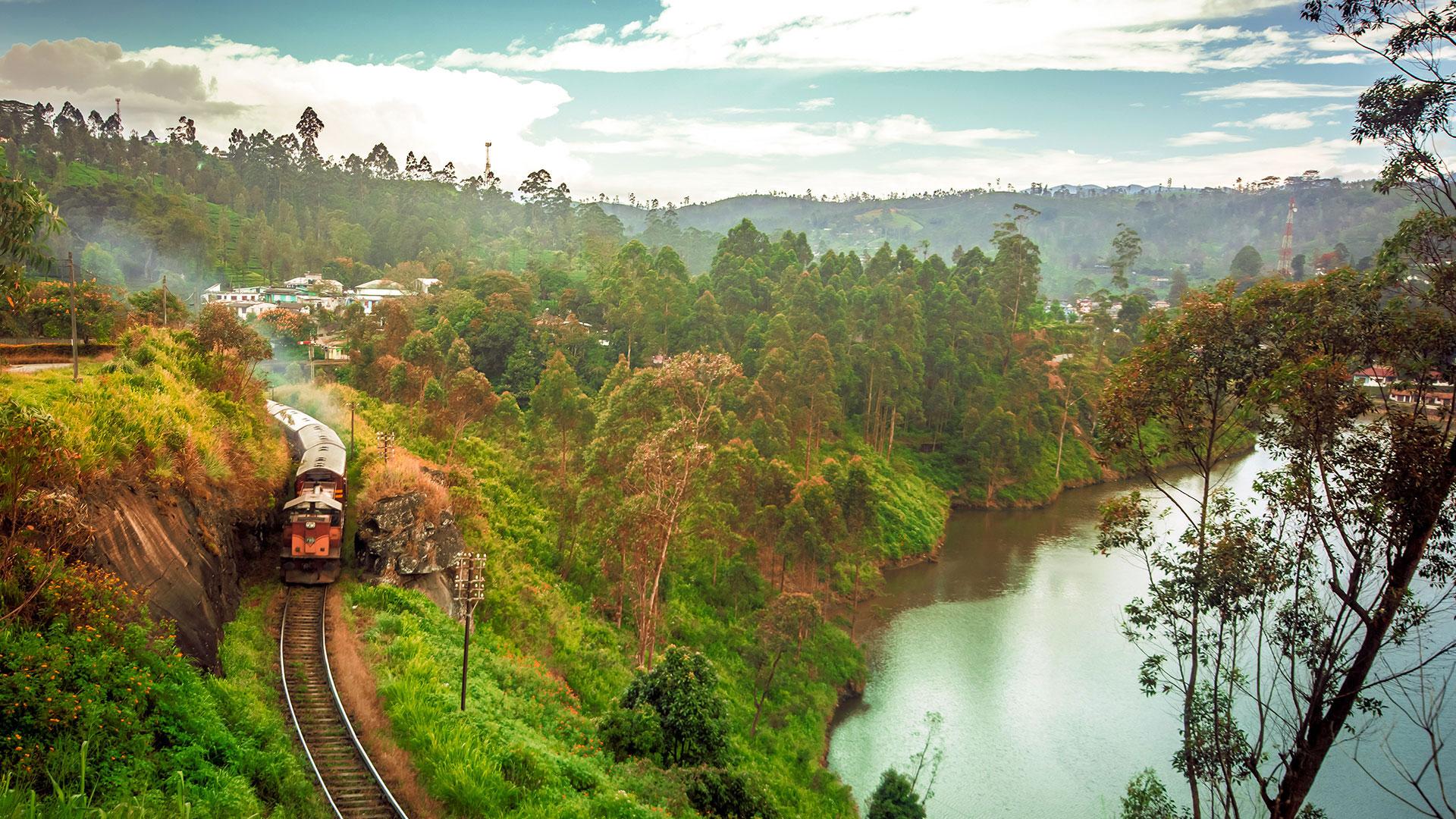 A landscape of a train appearing from the hills in the Nuwara Eliya highlands