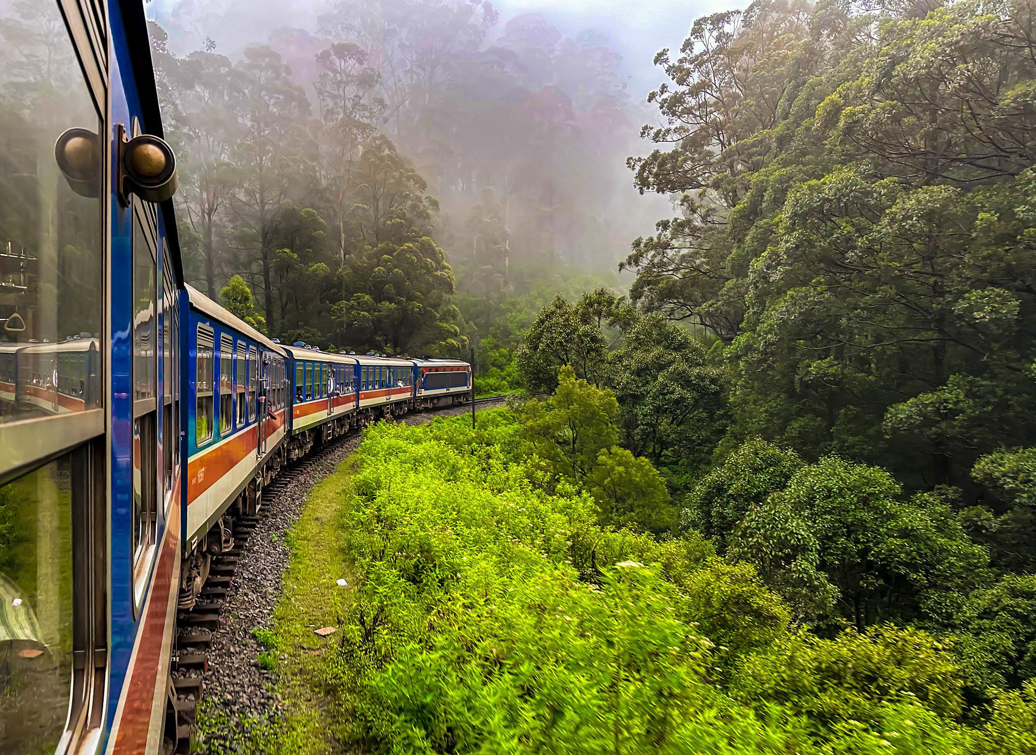 A scenic view of the misty forests that can be seen from the train journeys through Ella Sri Lanka