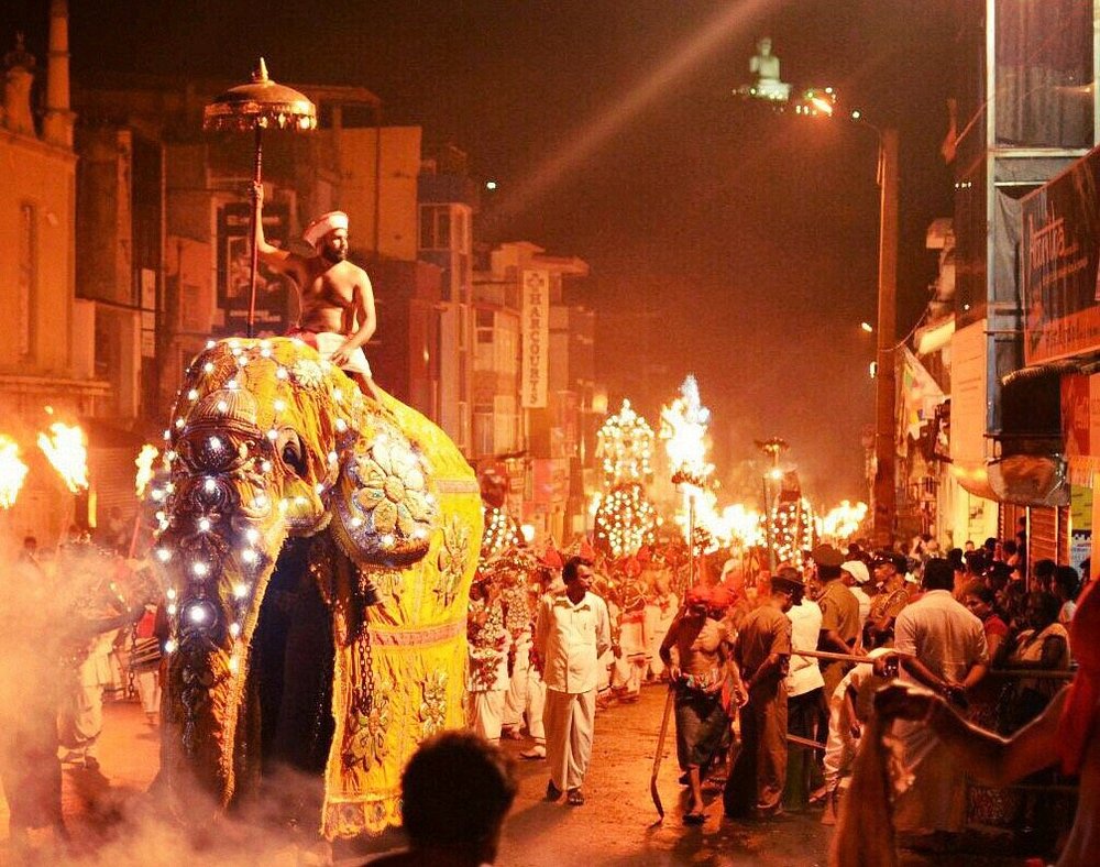 A view of the elephants and the dancers in the Esala Perahera festival in Kandy Sri Lanka