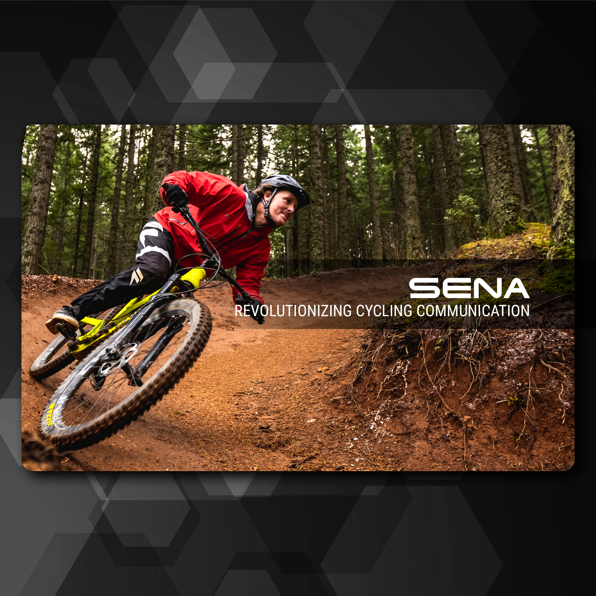 1 Year at SENA | +300% Growth New Market Expansion