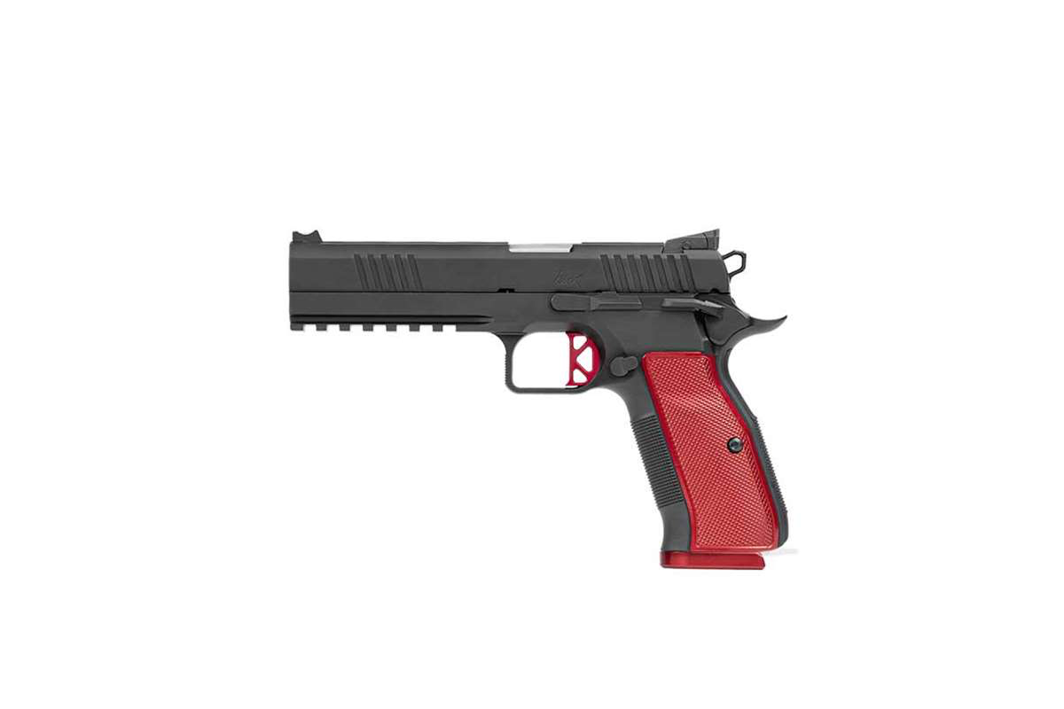 Dan Wesson’s DWX 9mm Pistol