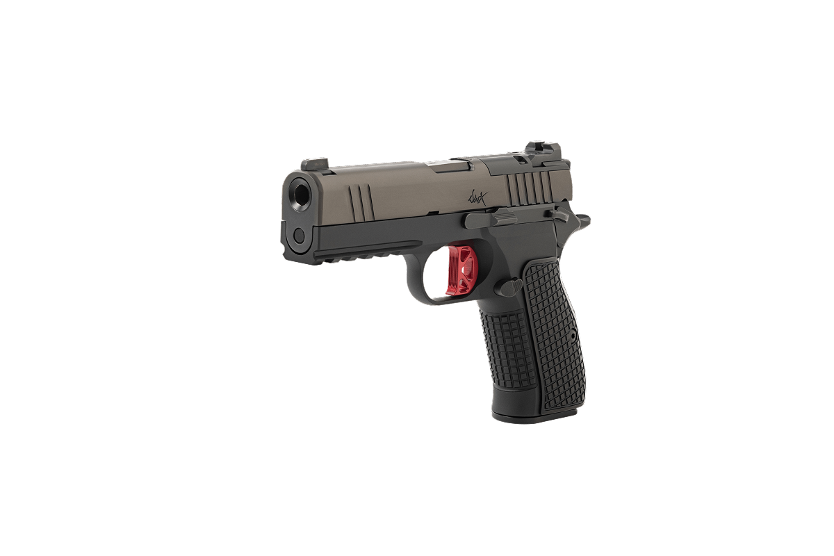 Dan Wesson’s DWX 9mm Pistol