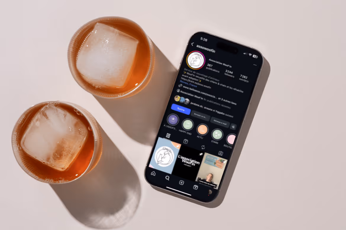 community management page Instagram d'une association