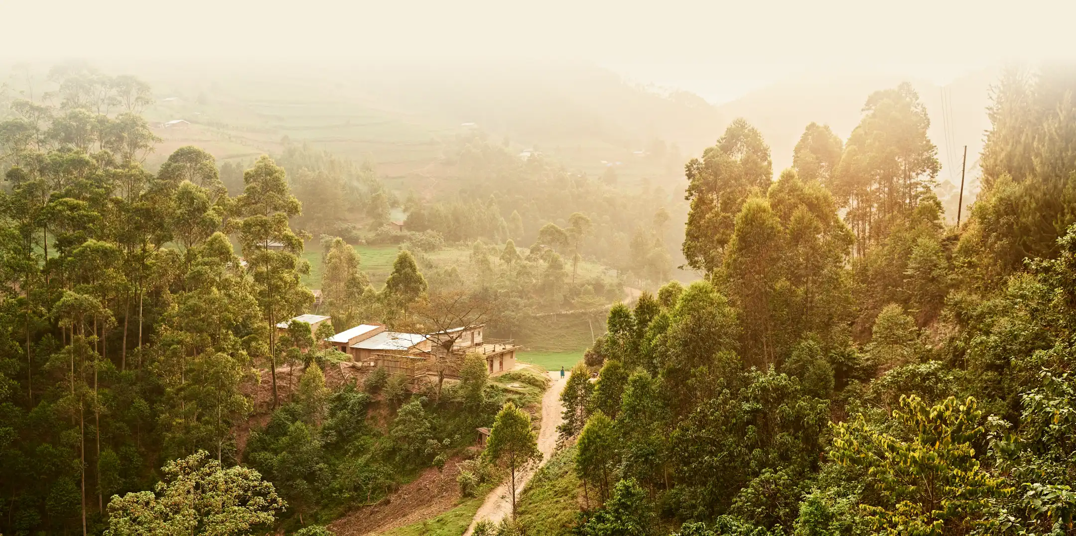 Sunlit rural landscape with dense green trees, a dirt path, and a few small buildings nestled on a hillside.