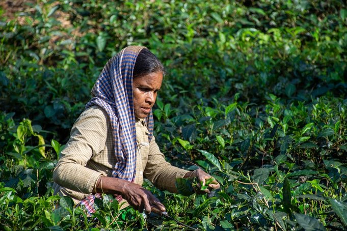 dhaka armenian church statue