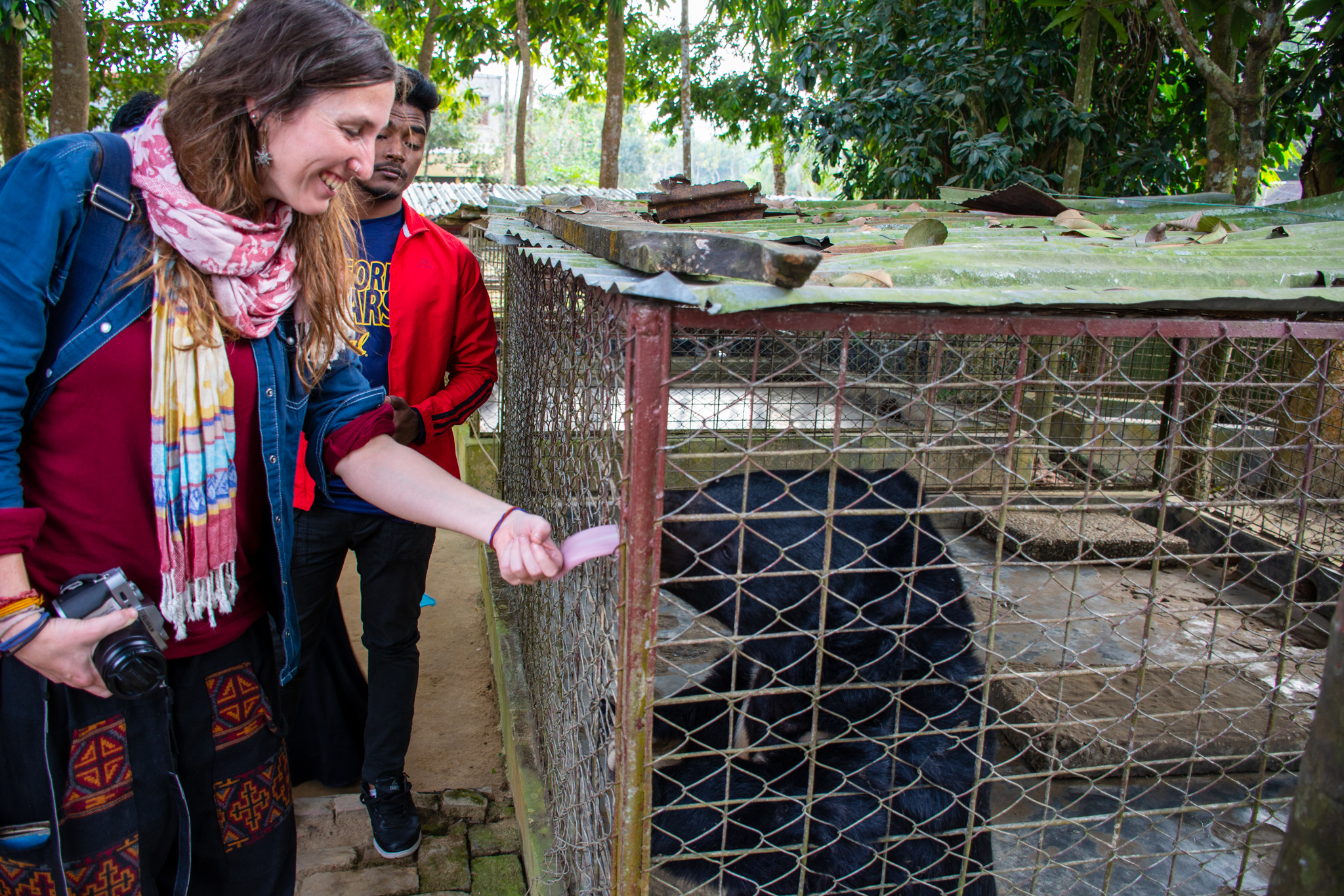 Woman petting bear behind cage.