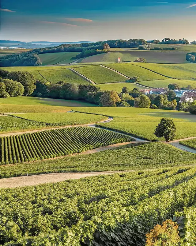 Engagement environnemental Les Ateliers de Reims