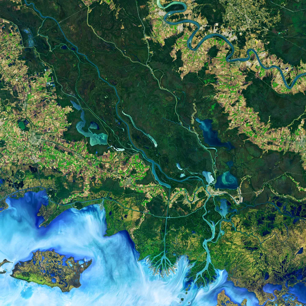 Aerial satellite view of a river delta with winding waterways, lush green vegetation, agricultural fields, and coastal waters.