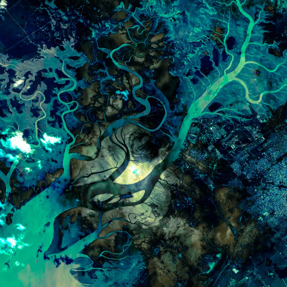 Satellite view of a river delta with twisting waterways and adjacent urban area.