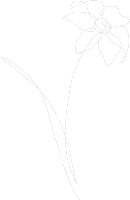 Minimalist single-line drawing of a flower with a curved stem and large petals.
