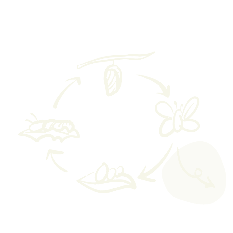 The same image as above repeated, but this time the squiggly arrow leading outside the circle is highlighted with a grey background.