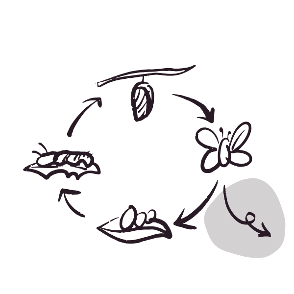 The same image as above repeated, but this time the squiggly arrow leading outside the circle is highlighted with a grey background.