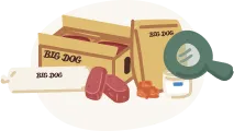 Boxes labeled Big Dog, dog treats, and a bottle of pet care product arranged together.