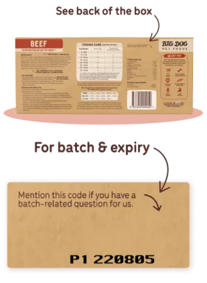 Big Dog Pet Food beef flavor packaging with feeding guide, ingredients, and a batch code P1 220805 for questions.