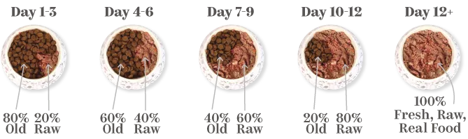 Five bowls showing food transition from 100% kibble to 100% canned food with mixed percentages in between, illustrating gradual changeover.