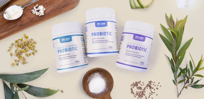 Three white bottles of Big Dog Health Care probiotic supplements surrounded by natural ingredients like chamomile flowers, leafy branches, seeds, and a bowl of salt.