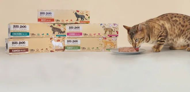 A brown tabby cat eating Big Dog Pet Food from a plate next to stacked Big Dog Pet Foods boxes in various flavors.