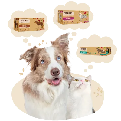A happy dog and a curious cat with three floating boxes of Big Dog pet food labeled Kanga, Combo, and Chicken.