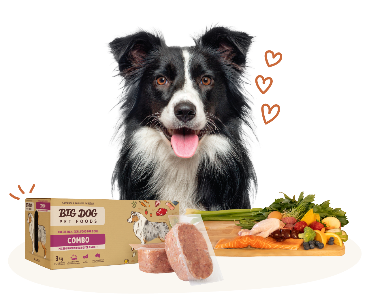 Black and white dog with its tongue out behind a box of Big Dog Pet Foods Combo and fresh raw ingredients on a wooden board.