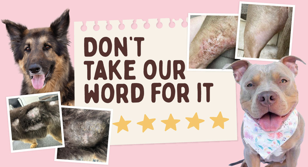 Two dogs with healed skin conditions and text reading 'Don't take our word for it' with five gold stars.