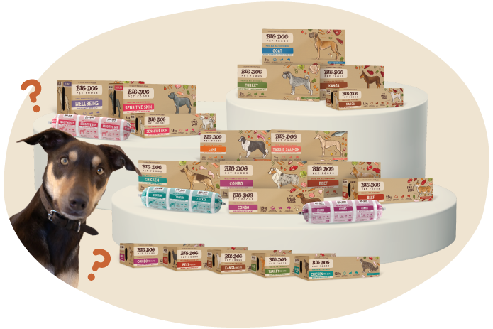 Various Big Dog Pet Food packages displayed on white platform with a curious dog and question marks nearby.