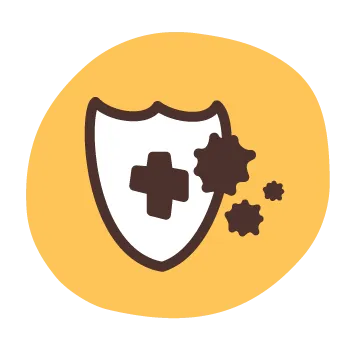 Icon of shield blocking bacteria